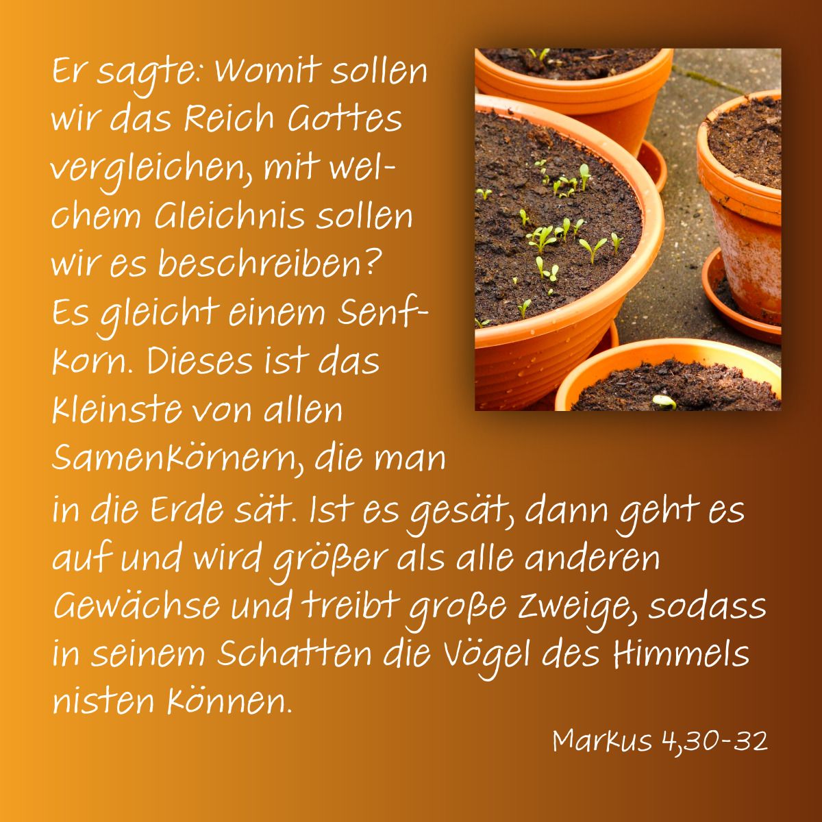 Monatsmeditation Monatsmeditation